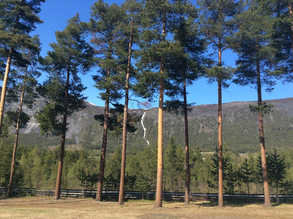 Furuly Camping Nordberg Esterno foto